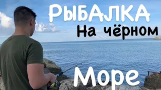 🌍 РЫБАЛКА НА ЧЕРНОМ МОРЕ, ДЖУБГА, МОРСКАЯ РЫБАЛКА В КРАСНОДАРСКОМ КРАЕ