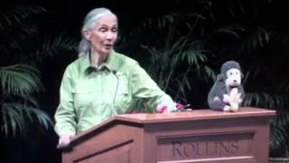 Dr. Jane Goodall Answers My Question