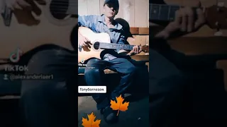 Петлюра Голубоглазая дворовая песня на гитаре