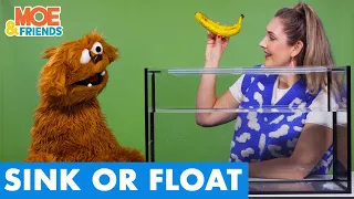 Silly SINK or FLOAT Challenge | Collab with @musicwithmichal