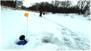 ПОПАЛ НА ДИКИЙ ВЫХОД ЩУКИ! СРАБОТКИ ПРЯМО НА ГЛАЗАХ! ЛОВЛЯ ЩУКИ НА ЖЕРЛИЦЫ В КОНЦЕ ФЕВРАЛЯ.