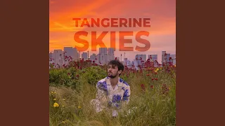 Tangerine Skies