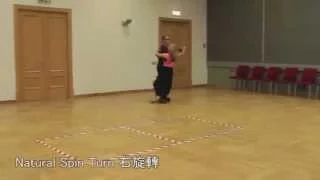 Waltz - Natural Spin Turn Routine - Slow Motion