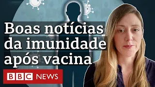 O que se sabe sobre duração da imunidade contra covid-19 após vacina