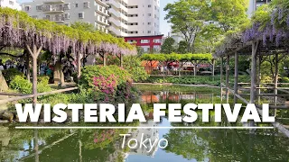 Things to do in Tokyo - Wonderful Wisteria Festival