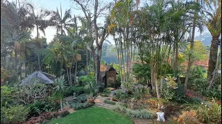 Garden In Clunes, NSW, Australia