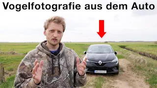 Vogelfotografie aus dem Auto - DAS solltest du beachten (Tipps und Tricks)