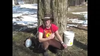 DIY Maple Syrup- The Cheap & Easy Way! Part 1, with Brooke Whipple