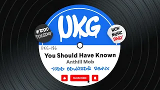 Anthill Mob - You Should Have Known (Todd Edwards 'You Should Have Vocalised' Mix)