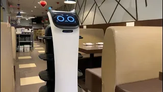 You can call Sushi Village’s newest server Bella, short for BellaBot