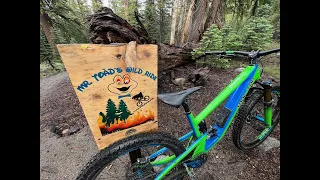 Mr Toads Wild Ride Trail Review | South Lake Tahoe's Best Mountain Bike Trail