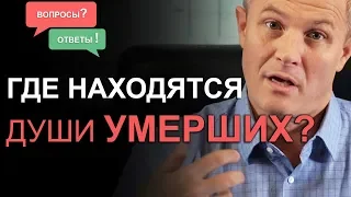 Где находятся души умерших? Отвечаю на ваши сложные вопросы. Александр Шевченко