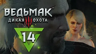 Ведьмак 3: Дикая Охота - прохождение - #14 - Максимальная сложность