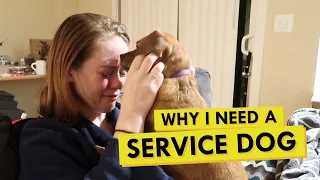 Should I Train Chloe to Be a Psychiatric Service Dog?