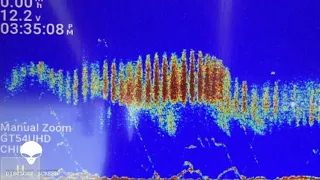 Captain on Lake Champlain captured incredible sonar image of the elusive Champy? July 24th.