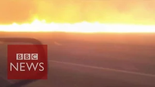 This is what it's like to drive through a bushfire - BBC News