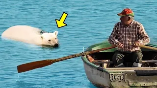 Tired Bear Desperately Chased This Man. When He Found Out The Reason, He Started Crying!