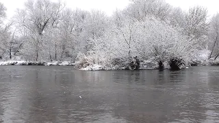 Зимний день, река протекает зимой и зимние деревья