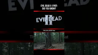 Did you know THIS about EVIL DEAD II (1987)? Part Three