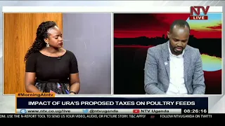 Impact of URA's proposed taxes on poultry feeds | MORNING AT NTV