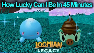 WHAT CAN I GET IN ABOUT 1 HOUR OF HUNTING IN LOOMIAN LEGACY?