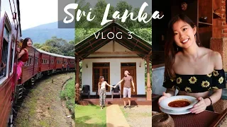 THE MOST BEAUTIFUL TRAIN RIDE IN SRI LANKA + $20 JUNGLE VILLA | VLOG 3