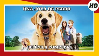 Una joya de perro | HD | Comedia | Película Completa en Español