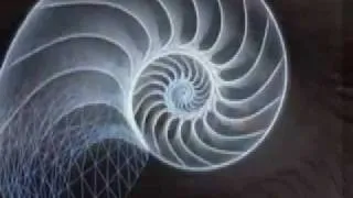 Spiral Theory