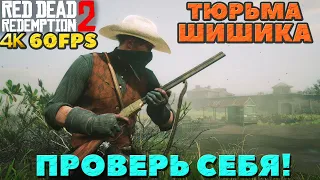 (PS5)Red Dead Redemption 2 -Тюрьма Шишика(Sisika Penitentiary)! Проверь себя!