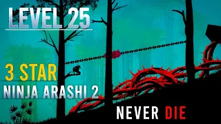 Ninja Arashi 2 Level 25
