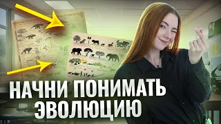 Все факторы эволюции для ЕГЭ