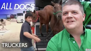 Transporting Polo Horses | Truckers: Season One | All Documentary