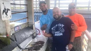 Mangrove Snapper fishing at Sebastian inlet State Park!