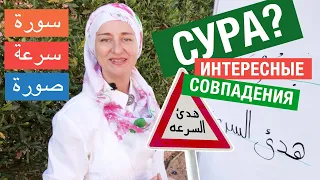 Что такое «сура» по-арабски? Интересные совпадения