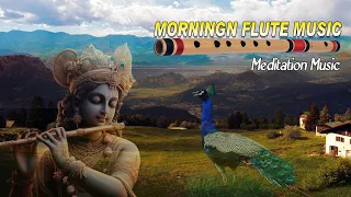 31 Minute Morning Flute Music || Himalayan Flute Music || Medation Music || Relaxing Music