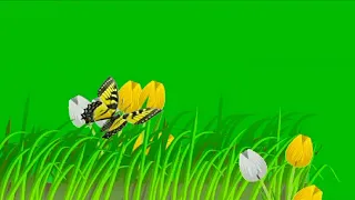 Butterfly with flower green screen.butterfly with flower copyright free.