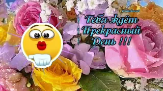 Тебе сегодня от меня !!! С добрым утром !!! ☕🌹Очень красивая песня !!! 🌹❤️#доброеутро #открытка