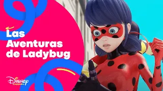 Las aventuras de Ladybug: Todos contra Monarca | Disney Channel Oficial