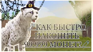 ⛓КАК НАКОПИТЬ 99,999 МОНЕТ В WILDCRAFT за 30 МИНУТ?!⛓