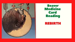 Beaver Medicine Card Reading - Builder - Native American Spirituality