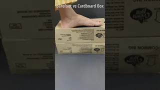 Experiment Barefoot vs Cardboard Box #Shorts | Crushing Crunchy & Soft Things by Foot | Asmr Sounds