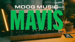 NEW Moog MAVIS  - Monophonic Analog Synth