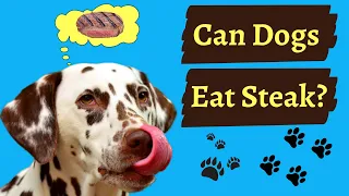 Can Dogs Eat Steak? (Raw or Cooked)