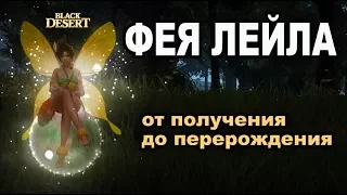 🌸ИДЕАЛЬНАЯ ФЕЯ🌸Улучшение ✿ Перерождение ✿ Прокачка и получение в Black Desert (MMORPG - ИГРЫ)