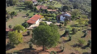 Farm in Portugal Property At A Bargain Price