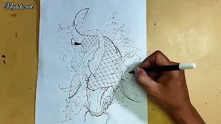 Cara menggambar ikan koi || japanese koi fish