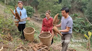 Robert so busy. The girls come to help and experience farm life. Green forest life (ep264)