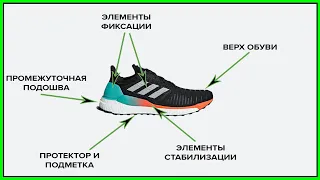 В чем отличия беговой обуви? И как выбрать правильные беговые кроссовки?