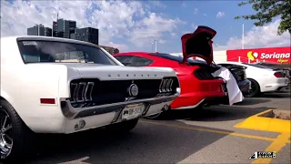 Mustang's en Chihuahua 2021 | AutosRarosCUU