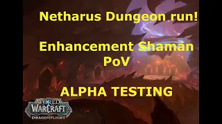 Enhancement Shaman - Netharus Dungeon Run! Dragonflight Alpha!